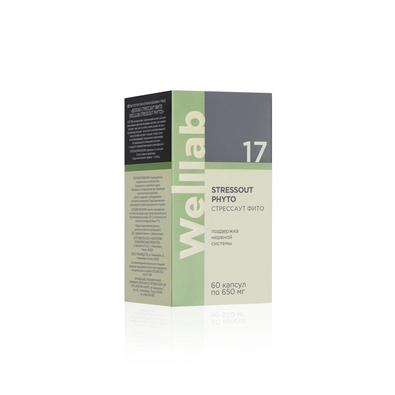 БАД для нервной системы Welllab STRESSOUT PHYTO, 60 капсул