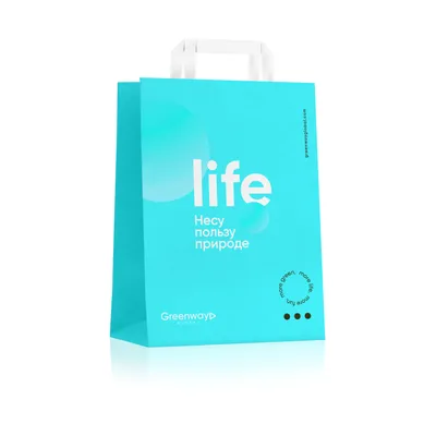 Пакет "Life" малый, 32 х 22 х 12 см
