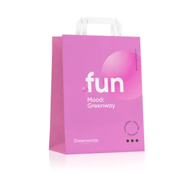 Пакет "Fun" малый, 32 х 22 х 12 см